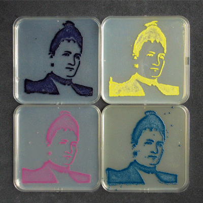 Agar art of Fanny Angelina Hesse 