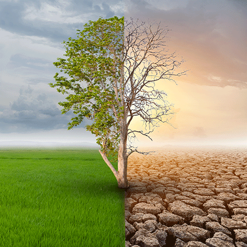 climate-change-briefing-500x500.gif