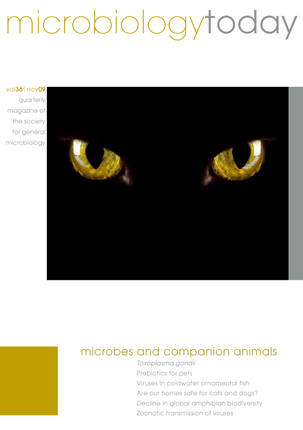 MT1109Cover