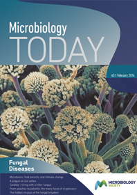 MT Feb 16 cover