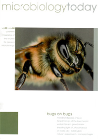 MT November 2008 cover web