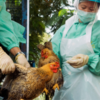 Emerging Zoonotic Diseases 1
