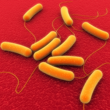 Foodborne pathogens