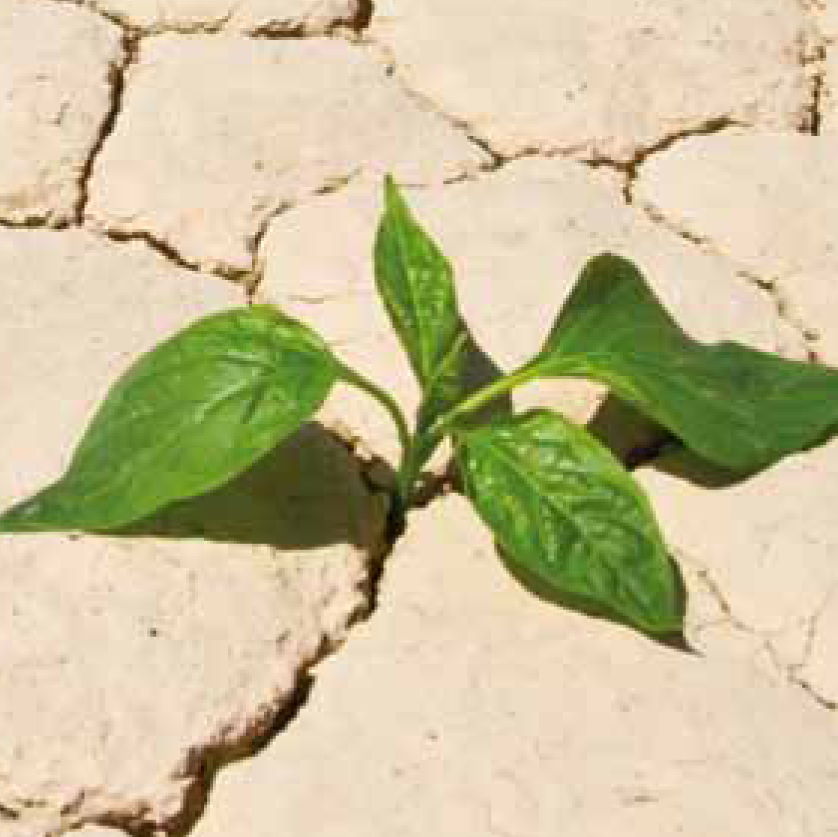 Climate Change 3
