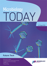 MT Aug 16 cover