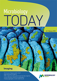 MT-Feb-18-cover.jpg