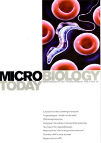 MT August 2002 cover web