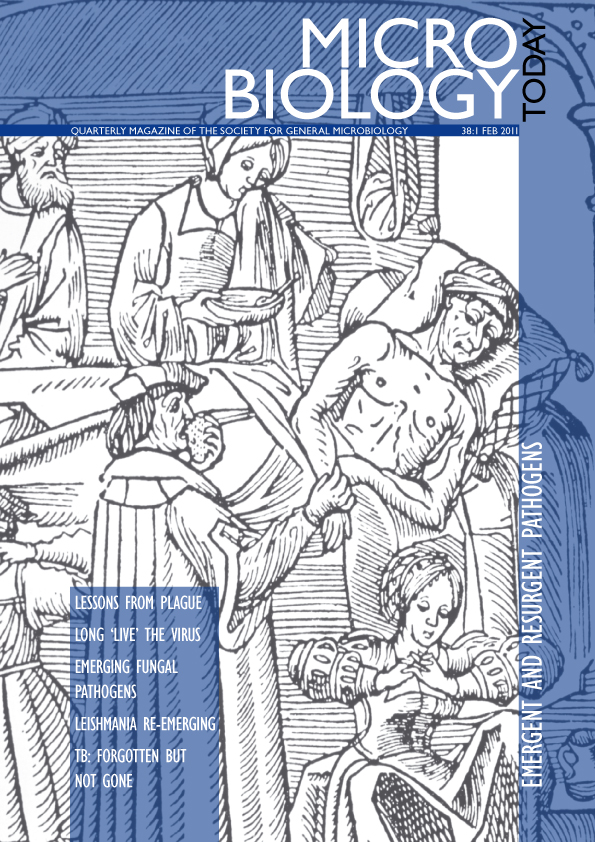 MT0211Cover