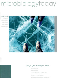 MT May 2008 cover web