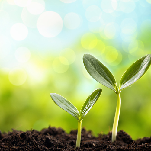 Soil-Health-explainer.jpg