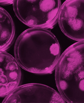 Access Microbiology 500x500.png